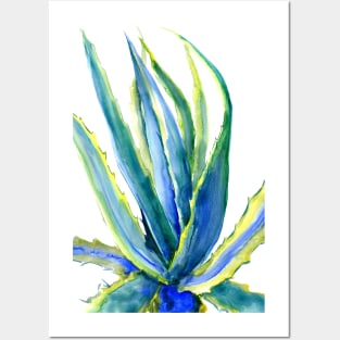 Agave Posters and Art